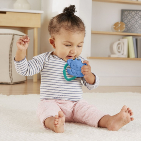 FISHER PRICE JUCARIE DENTITIE DIVERSE MODELE [8]