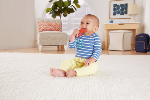 FISHER PRICE JUCARIE DENTITIE DIVERSE MODELE [7]