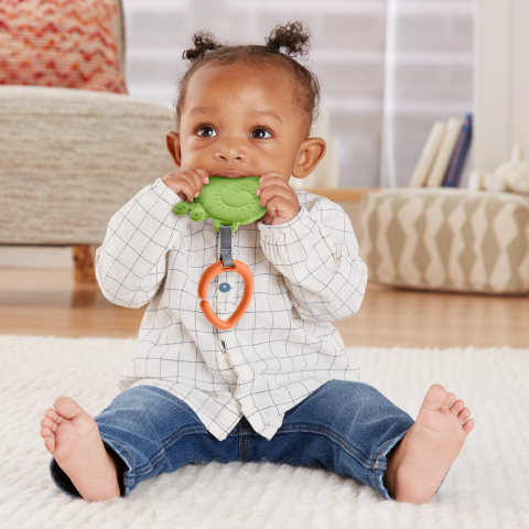 FISHER PRICE JUCARIE DENTITIE DIVERSE MODELE [4]