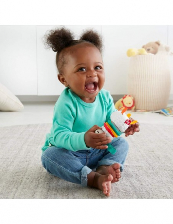 Fisher Price Jucării Zornăitoare Lamă Multicoloră  [2]