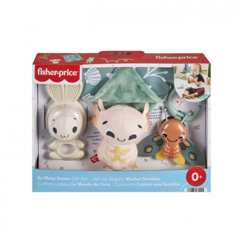 Jucarii de sortat si motricitate - Fisher Price Set 4 Jucarii