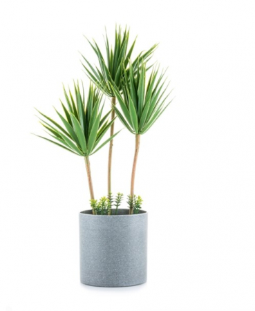Decoratiuni - Planta decorativa artificiala Dracaena marginata