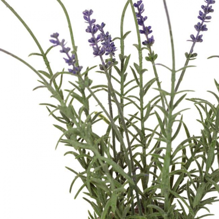 Flori de lavanda artificiale decorative in ghiveci ceramic [1]