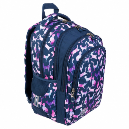 Ghiozdan pentru scoala cu 4 compartimente [1]