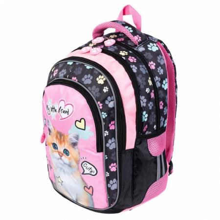 Ghiozdan pentru scoala cu 4 compartimente [1]