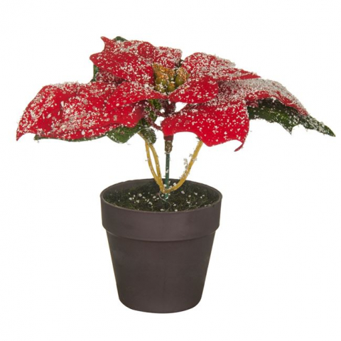 Decoratiuni - Ghiveci decorativ artificial cu Craciunita,plastic,14 cm