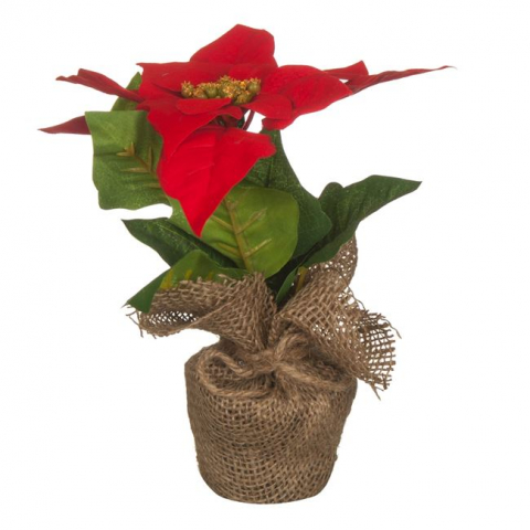 Flori si Plante artificiale - Ghiveci decorativ artificial cu Craciunita,plastic,20 cm