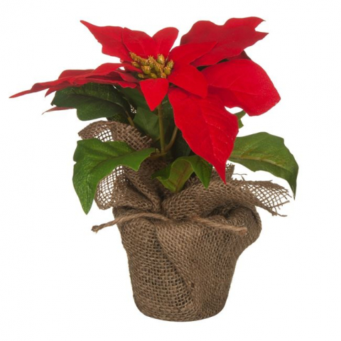 Decoratiuni - Ghiveci decorativ artificial cu Craciunita,plastic,24 cm