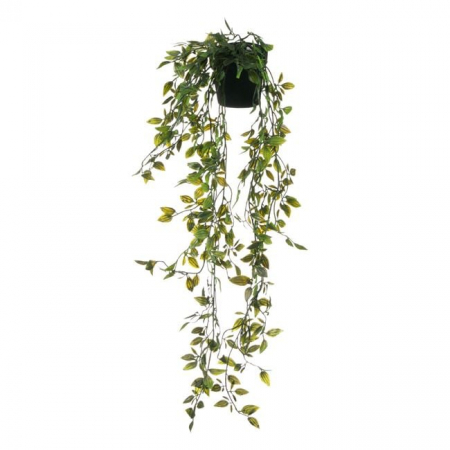 Decoratiuni - Ghiveci decorativ cu planta atarnatoare