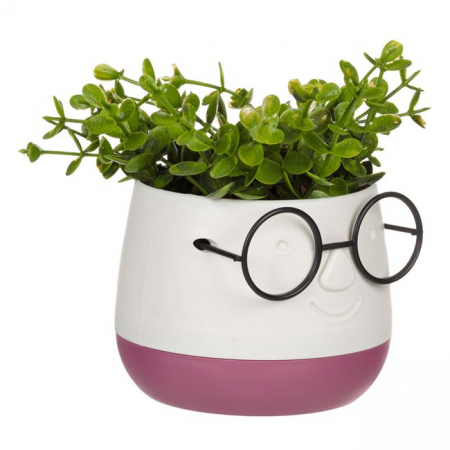 Ghiveci fata zambitoare cu planta artificiala [1]
