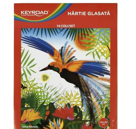 Produse art & craft-Lucru manual - Hartie glasata A4,10 coli/set