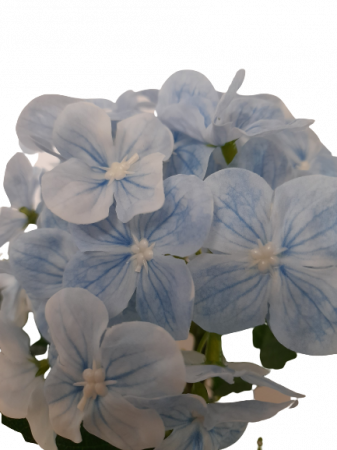 Hortensie albastra artificiala decorativa in ghiveci ceramic [1]