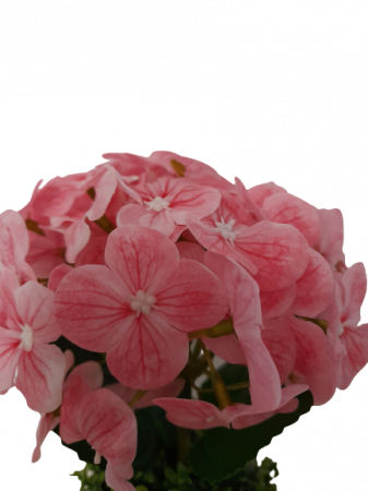 Hortensie artificiala decorativa in ghiveci ceramic [1]
