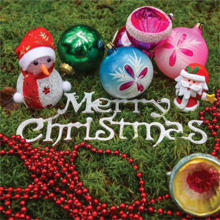 Iarba decorativa pentru activitati crafts,verde,30 grame [1]