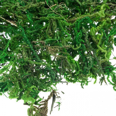 Iarba decorativa pentru activitati crafts,verde,30 grame [2]