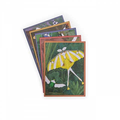 Joc creativ Planse fantastice Insecte si animale, Moulin Roty [2]