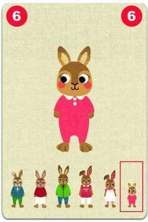 Joc de Cărți Djeco Familou [4]