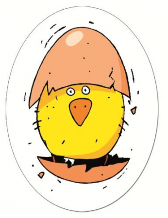 Joc de Cărți Djeco Piou Piou - Rapiditate și Râsete [1]