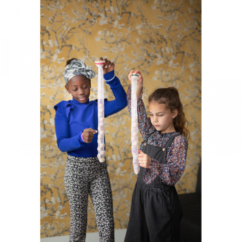 Joc de strategie Mingile in plasa,+6 ani [2]