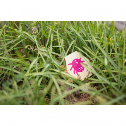 Joc pentru exterior de cautare-Insecte,+3 ani [1]