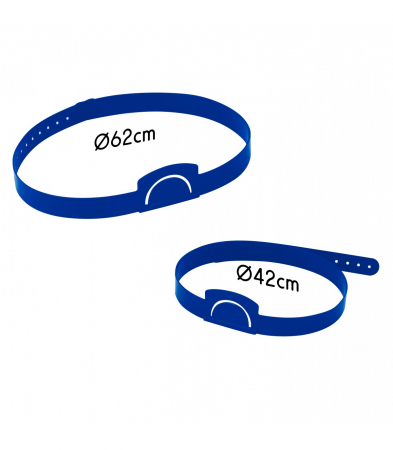 Joc "Ți-e scris în frunte" pentru Copii Mari în Limba Română  [2]