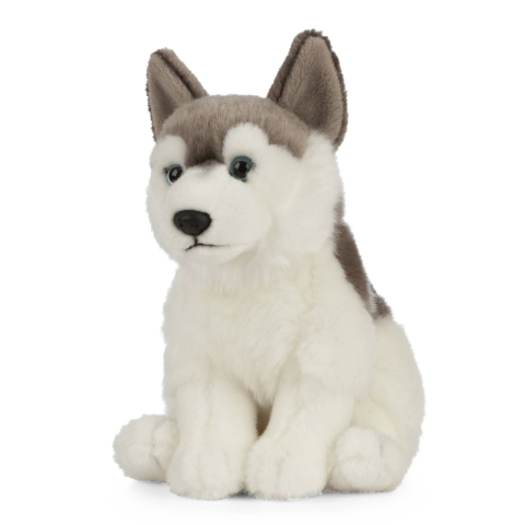 Jucarii - Cățel Husky de pluș 20 cm – Living Nature