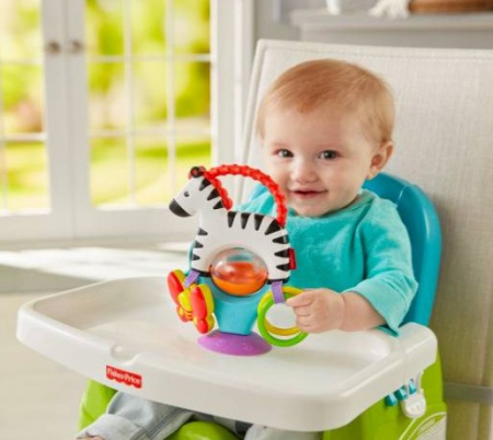 Jucărie de Motricitate - Prima Mea Zebra [1]