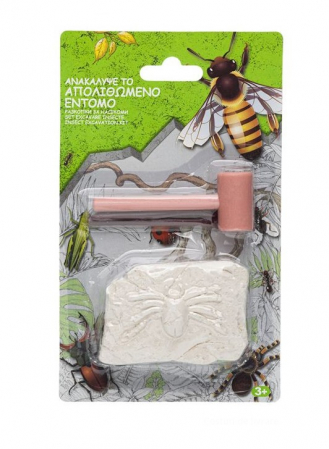 Kit creativ paleontologic-Descopera Insecta [2]