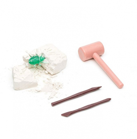 Jocuri si articole copii - Kit creativ paleontologic-Descopera Insecta