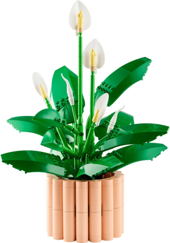 LEGO BOTANICALS CRINUL PACII 11504 [2]
