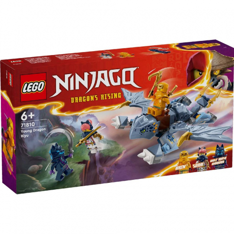 Lego Ninjago - Lego Ninjago Tanarul Dragon Riyu 71810