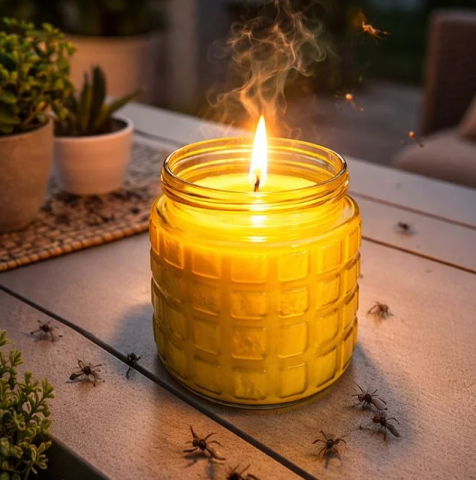 Casa si gradina - Lumanare citronella in borcan din sticla, 712 g, anti tantari