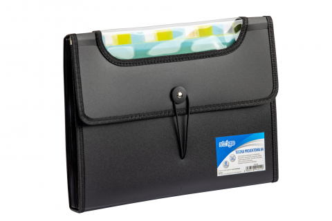 Mapa A4 extensibila cu 12 compartimente,plastic, negru [1]