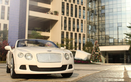 Mașină cu Telecomandă Bentley Continental GT Alb, Scara 1:12 [8]