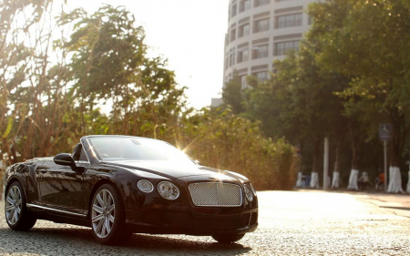 Masina cu telecomanda bentley continetal gt negru cu scara 1 la 12 [7]