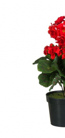 Muscata artificiala decorativa in ghiveci pentru interior [4]