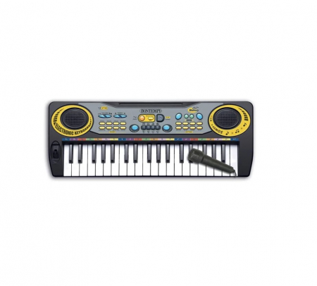 Orga Bontempi electronica [1]