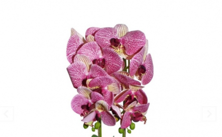 Orhidee artificiala decorativa cu 2 tije in ghiveci ceramic [2]