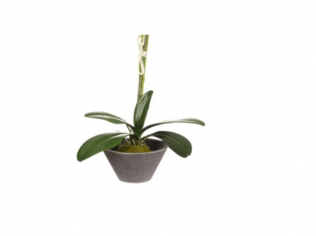 Orhidee artificiala cu 2 tije in ghiveci [2]