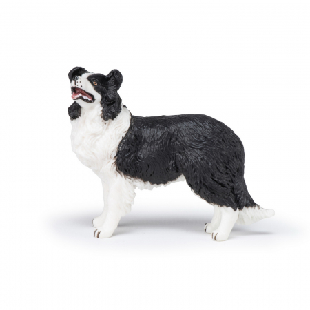 PAPO - Figurina Câtel Border Collie  [1]