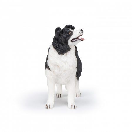 PAPO - Figurina Câtel Border Collie  [3]