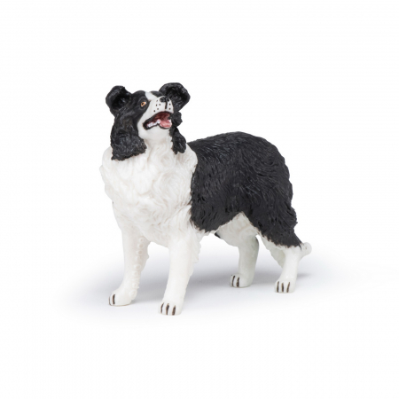 PAPO - Figurina Câtel Border Collie  [2]