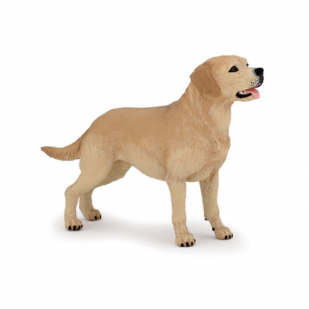 Jocuri si articole copii - PAPO - Figurina Câtel Labrador 