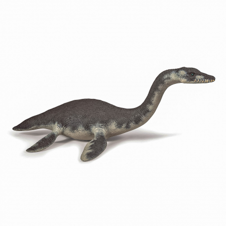 Figurine Papo - Papo - Figurină Dinozaur Plesiosaurus 
