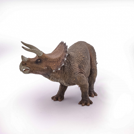 Papo - Figurină Dinozaur Triceratops  [4]