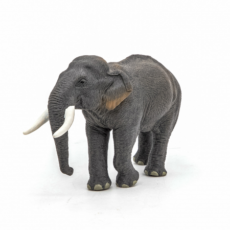PAPO - Figurina Elefant Asiatic  [5]