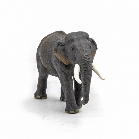 PAPO - Figurina Elefant Asiatic  [3]