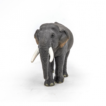PAPO - Figurina Elefant Asiatic  [4]