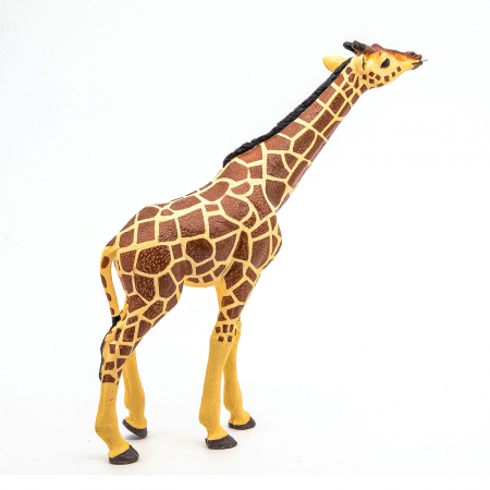 PAPO - Figurina Girafă cu Cap Ridicat  [2]