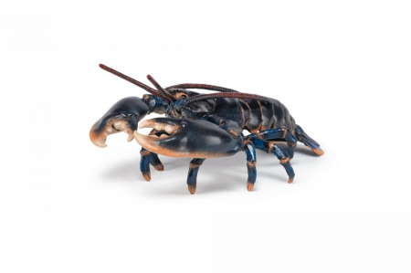 PAPO FIGURINA HOMAR [4]
